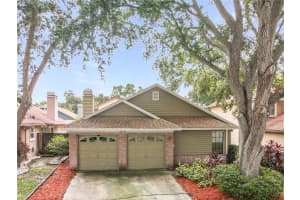 1876 SPRINGBUSH LANE, CLEARWATER, FL 33763 - MLS#MFRTB8421705