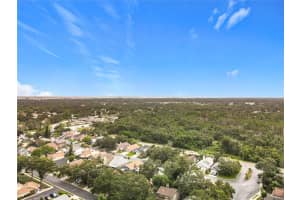 1876 SPRINGBUSH LANE, CLEARWATER, FL 33763 - MLS#MFRTB8421705