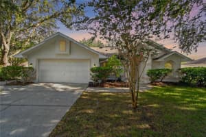 4106 Jade Ln, VALRICO