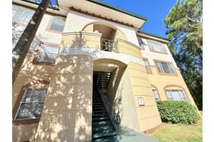 17112 CARRINGTON PARK DRIVE, TAMPA, FL 33647 - MLS#MFRTB8421718