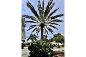 1281 MAPLE STREET, LARGO, FL 33770 - MLS#MFRTB8421724
