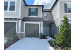 31653 BLUE PASSING LOOP, WESLEY CHAPEL, FL 33545 - MLS#MFRTB8421729