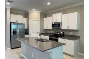 31653 BLUE PASSING LOOP, WESLEY CHAPEL, FL 33545 - MLS#MFRTB8421729