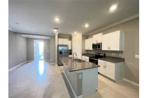 31653 BLUE PASSING LOOP, WESLEY CHAPEL, FL 33545 - MLS#MFRTB8421729