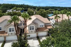 14441 MIRABELLE VISTA CIRCLE, TAMPA, FL 33626 - MLS#MFRTB8421745
