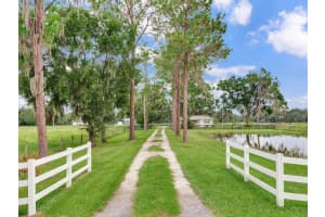 4402 MCGEE ROAD, PLANT CITY, FL 33565 - MLS#MFRTB8421770