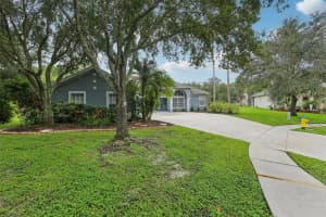 18301 Bankston Pl, TAMPA