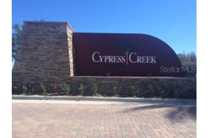 15538 LONG CYPRESS DRIVE, RUSKIN, FL 33573 - MLS#MFRTB8421785