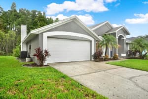 10142 ARROW CREEK ROAD, NEW PORT RICHEY, FL 34655 - MLS#MFRTB8421787