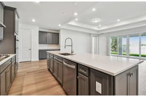 13707 BROOKSIDE HAVEN STREET, RIVERVIEW, FL 33578 - MLS#MFRTB8421810