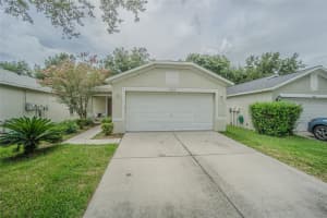 18164 Canal Pointe St, TAMPA