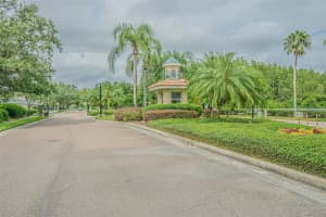 18164 CANAL POINTE STREET, TAMPA, FL 33647 - MLS#MFRTB8421811