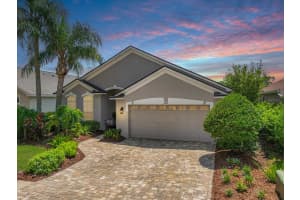 3226 Stonebridge Trl, VALRICO