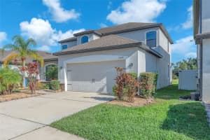 11874 THICKET WOOD DRIVE, RIVERVIEW, FL 33579 - MLS#MFRTB8421849