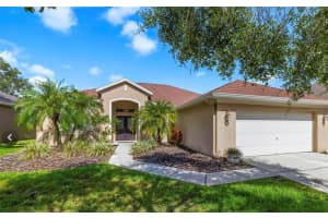 19104 Cellini Pl, LUTZ