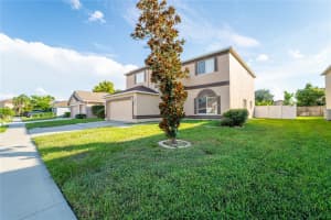 11133 SAILBROOKE DRIVE, RIVERVIEW, FL 33579 - MLS#MFRTB8421861
