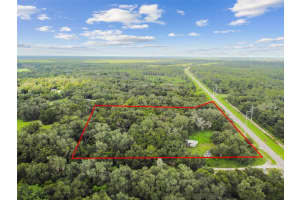 41433 COUNTY ROAD 54, ZEPHYRHILLS, FL 33540 - MLS#MFRTB8421893
