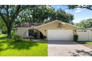5406 Pentail Cir, TAMPA