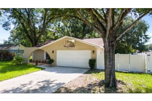 5406 PENTAIL CIRCLE, TAMPA, FL 33625 - MLS#MFRTB8421897