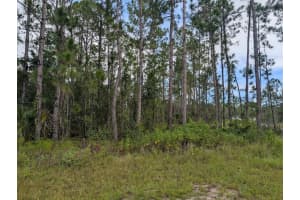 1122 POINCIANA DRIVE, INDIAN LAKE ESTATES, FL 33855 - MLS#MFRTB8421920