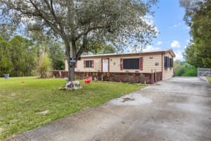 8402 WEEPING WILLOW STREET, BROOKSVILLE, FL 34613 - MLS#MFRTB8421926