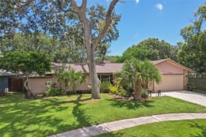 1424 ROSETREE COURT, CLEARWATER, FL 33764 - MLS#MFRTB8421937
