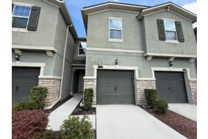 11648 CAMBIUM CROWN DRIVE, RIVERVIEW, FL 33569 - MLS#MFRTB8421943
