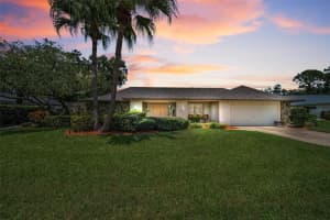 3105 Wesson Way, TAMPA