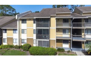13287 ARBOR POINTE CIRCLE, TAMPA, FL 33617 - MLS#MFRTB8421959