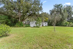 36837 JUDEE DRIVE, ZEPHYRHILLS, FL 33541 - MLS#MFRTB8421967
