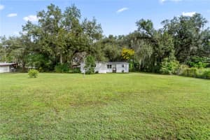 36837 JUDEE DRIVE, ZEPHYRHILLS, FL 33541 - MLS#MFRTB8421967