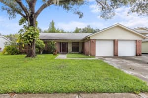 16503 Foothill Dr, TAMPA