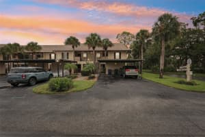 335 THREE LAKES LANE, VENICE, FL 34285 - MLS#MFRTB8421997
