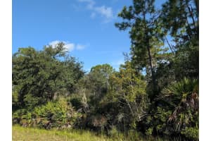 6 EL DORADO DRIVE, INDIAN LAKE ESTATES, FL 33855 - MLS#MFRTB8422001