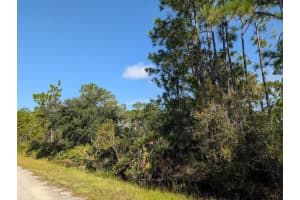 6 EL DORADO DRIVE, INDIAN LAKE ESTATES, FL 33855 - MLS#MFRTB8422001
