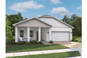 2549 Broadwing St, KISSIMMEE