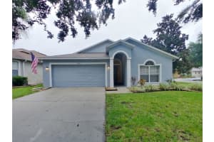 15822 Pond Rush Ct, LAND O LAKES