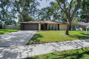 2480 TREEMONT WAY, DUNEDIN, FL 34698 - MLS#MFRTB8422017