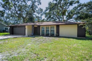 2480 TREEMONT WAY, DUNEDIN, FL 34698 - MLS#MFRTB8422017