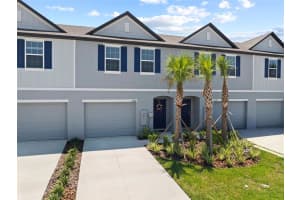 32130 EASTERN REDBUD BRANCH, SAN ANTONIO, FL 33576 - MLS#MFRTB8422033