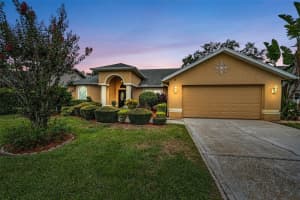 3853 SUNRISE LANE, TARPON SPRINGS, FL 34688 - MLS#MFRTB8422035