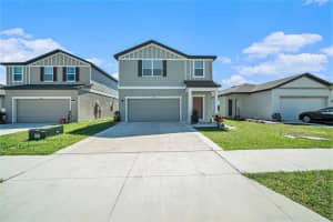 35542 Buttonweed, ZEPHYRHILLS