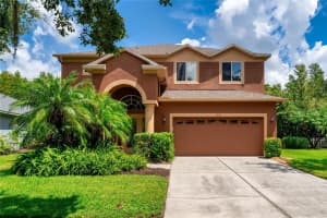 19135 Cypress Green Dr, LUTZ
