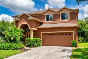19135 CYPRESS GREEN DRIVE, LUTZ, FL 33558 - MLS#MFRTB8422043