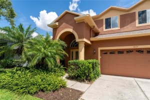 19135 CYPRESS GREEN DRIVE, LUTZ, FL 33558 - MLS#MFRTB8422043