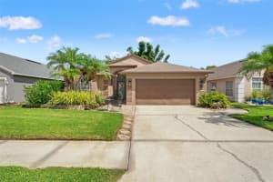 519 Cypress View Dr, OLDSMAR