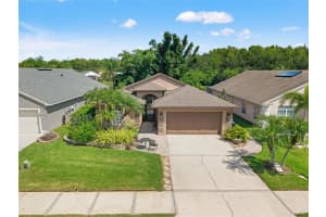 519 CYPRESS VIEW DRIVE, OLDSMAR, FL 34677 - MLS#MFRTB8422057