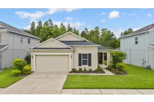 4742 Rolling Greene Dr, WESLEY CHAPEL