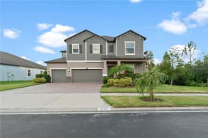 3123 Hilliard Dr, WESLEY CHAPEL