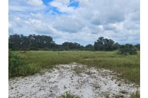 625 REED ROAD, AVON PARK, FL 33825 - MLS#MFRTB8422093